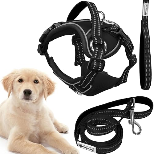 Rea, PuppyJoy Haustiergeschirr mit Leine Pj-059 LBlack, Sicherer Spaziergang für Hunde und Katzen - 150X28X150CM Rea, PuppyJoy Haustiergeschirr mit Leine Pj-059 LBlack, Sicherer Spaziergang für Hunde und Katzen - 150X28X150CM von Rea