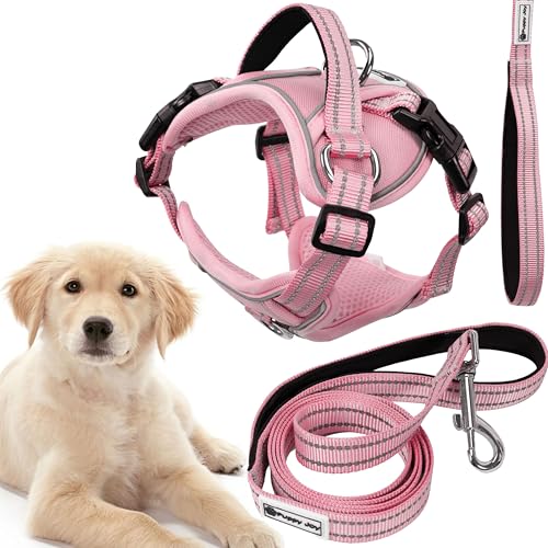 Rea, PuppyJoy Haustiergeschirr mit Leine Pj-060 LPink, Sicherer Spaziergang für Hunde und Katzen - 150X28X150CM Rea, PuppyJoy Haustiergeschirr mit Leine Pj-060 LPink, Sicherer Spaziergang für Hunde und Katzen - 150X28X150CM von Rea