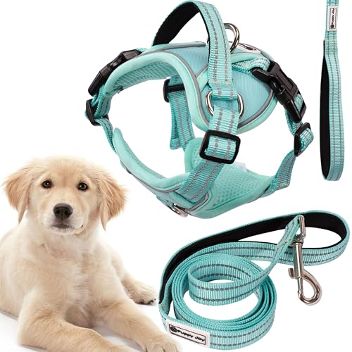 Rea, PuppyJoy Haustiergeschirr mit Leine Pj-061 LGreen, Sicherer Spaziergang für Hunde und Katzen - 150X28X150CM Rea, PuppyJoy Haustiergeschirr mit Leine Pj-061 LGreen, Sicherer Spaziergang für Hunde und Katzen - 150X28X150CM von Rea