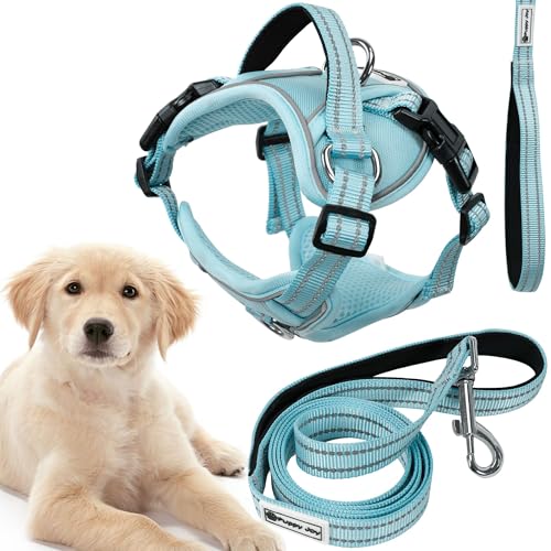 Rea, PuppyJoy Haustiergeschirr mit Leine Pj-062 LBlue, Sicherer Spaziergang für Hunde und Katzen Rea, PuppyJoy Haustiergeschirr mit Leine Pj-062 LBlue, Sicherer Spaziergang für Hunde und Katzen von Rea