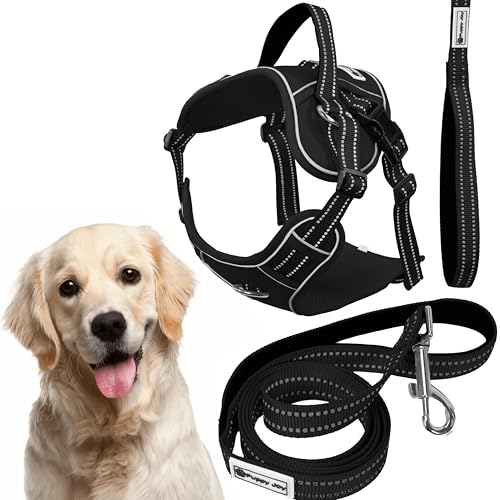 Rea, PuppyJoy Haustiergeschirr mit Leine Pj-063 XlBlack, Sicherer Spaziergang für Hunde und Katzen - 150X32X150CM Rea, PuppyJoy Haustiergeschirr mit Leine Pj-063 XlBlack, Sicherer Spaziergang für Hunde und Katzen - 150X32X150CM von Rea