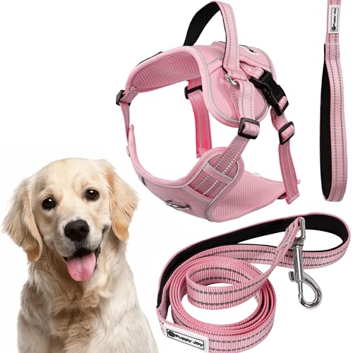 Rea, PuppyJoy Haustiergeschirr mit Leine Pj-064 XlPink, Sicherer Spaziergang für Hunde und Katzen Rea, PuppyJoy Haustiergeschirr mit Leine Pj-064 XlPink, Sicherer Spaziergang für Hunde und Katzen von Rea