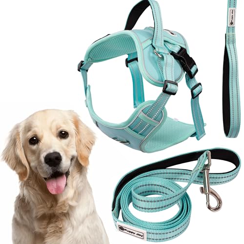 Rea, PuppyJoy Haustiergeschirr mit Leine Pj-065 XlGreen, Sicherer Spaziergang für Hunde und Katzen - 150X32X150CM Rea, PuppyJoy Haustiergeschirr mit Leine Pj-065 XlGreen, Sicherer Spaziergang für Hunde und Katzen - 150X32X150CM von Rea