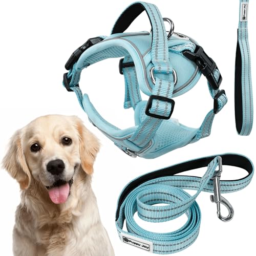 Rea, PuppyJoy Haustiergeschirr mit Leine Pj-066 XlBlue, Sicherer Spaziergang für Hunde und Katzen Rea, PuppyJoy Haustiergeschirr mit Leine Pj-066 XlBlue, Sicherer Spaziergang für Hunde und Katzen von Rea
