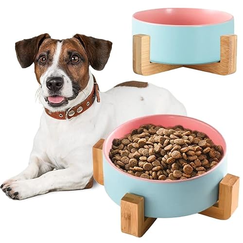 Rea, PuppyJoy Haustiernapf 331578 Blue, Vielseitiger Futter- und Wassernapf für Hunde und Katzen - 16X13X6CM Rea, PuppyJoy Haustiernapf 331578 Blue, Vielseitiger Futter- und Wassernapf für Hunde und Katzen - 16X13X6CM von Rea