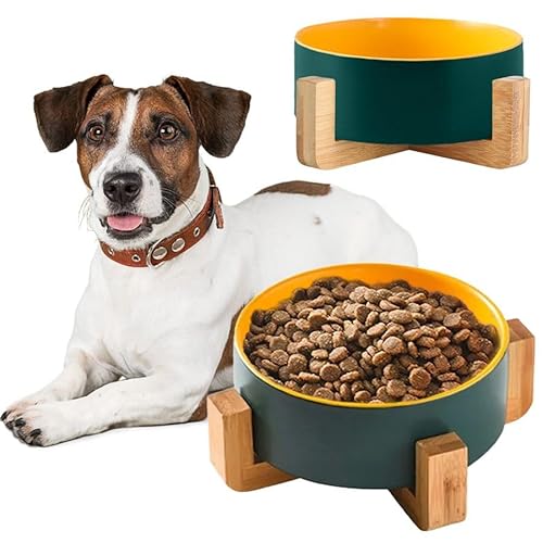 Rea, PuppyJoy Haustiernapf 331578 Yellow Green, Vielseitiger Futter- und Wassernapf für Hunde und Katzen - 16X13X6CM Rea, PuppyJoy Haustiernapf 331578 Yellow Green, Vielseitiger Futter- und Wassernapf für Hunde und Katzen - 16X13X6CM von Rea