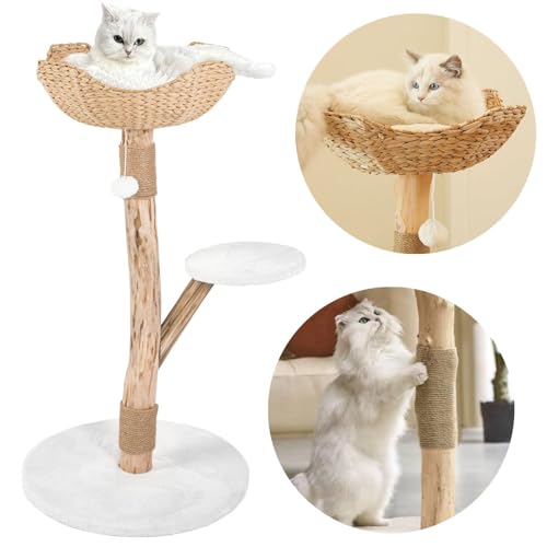 Rea, PuppyJoy Katzenkratzbaum mit Mehreren Ebenen P70386 Beige, Spiel, Schlaf und Kletterparadies für Stubentiger - 51X51X97CM Rea, PuppyJoy Katzenkratzbaum mit Mehreren Ebenen P70386 Beige, Spiel, Schlaf und Kletterparadies für Stubentiger - 51X51X97CM von Rea