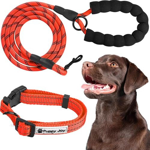 Rea, PuppyJoy Reflektierendes Halsband mit Leine Pj-035 Red, Sichtbarkeit und Sicherheit für Ihr Haustier - 150X5X150CM Rea, PuppyJoy Reflektierendes Halsband mit Leine Pj-035 Red, Sichtbarkeit und Sicherheit für Ihr Haustier - 150X5X150CM von Rea