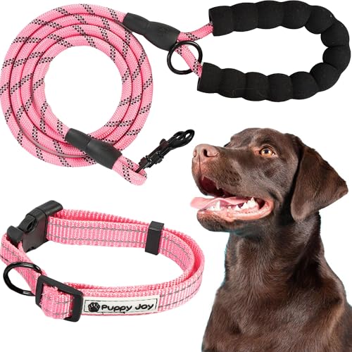 Rea, PuppyJoy Reflektierendes Halsband mit Leine Pj-036 Pink, Sichtbarkeit und Sicherheit für Ihr Haustier - 150X5X150CM Rea, PuppyJoy Reflektierendes Halsband mit Leine Pj-036 Pink, Sichtbarkeit und Sicherheit für Ihr Haustier - 150X5X150CM von Rea
