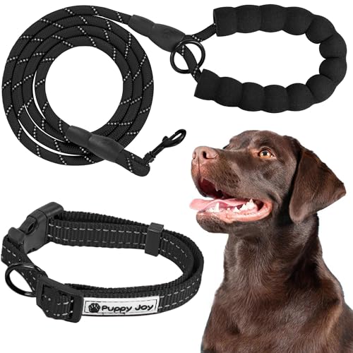 Rea, PuppyJoy Reflektierendes Halsband mit Leine Pj-091 Black, Sichtbarkeit und Sicherheit für Ihr Haustier - 150X5X150CM Rea, PuppyJoy Reflektierendes Halsband mit Leine Pj-091 Black, Sichtbarkeit und Sicherheit für Ihr Haustier - 150X5X150CM von Rea