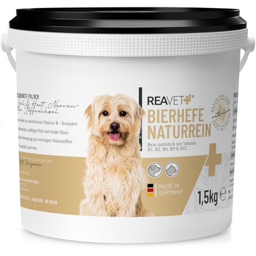 ReaVET Bierhefe Pulver für Hunde & Katzen 1,5kg - Reine Bierhefe gemahlen gegen Haarausfall & Zecken, Natürliche B Vitamine und Biotin für Hund und Katze, Ohne Zusätze von ReaVET