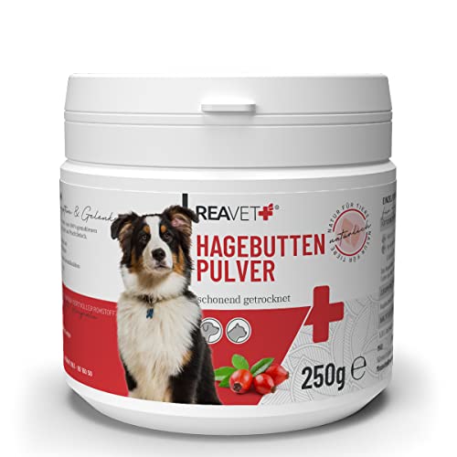 ReaVET Hagebuttenpulver für Hunde 250g – Naturrein in Premiumqualität, Stärkt Immunsystem + Gelenkfunktion, Reichhaltig an Vitamin C I Hagebutten Pulver für Hunde & Katzen, Ohne Zusätze von ReaVET