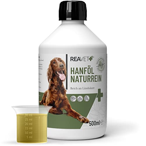 ReaVET Hanföl kaltgepresst für Hunde & Katzen 500ml – Barf Öl aus Kaltpressung in Premiumqualität – Naturreines Futteröl, Premium Hanföl, Naturprodukt Ohne Zusätze von ReaVET