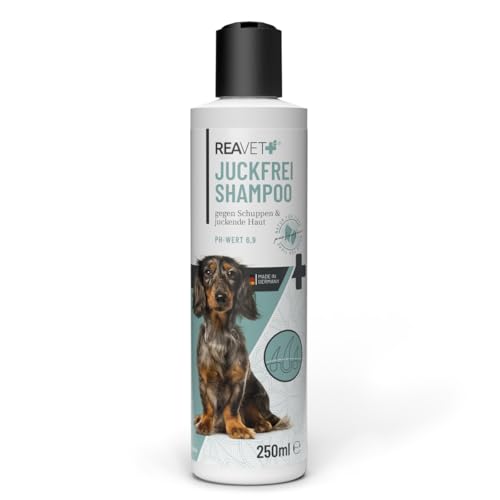 ReaVET Hundeshampoo gegen Schuppen & Juckreiz 250ml, bei Hautirritationen, trockene Sensible Haut, Rückfettend für Fellglanz ohne Duftstoffe, Anti Schuppen Juckreiz Shampoo Hund von ReaVET