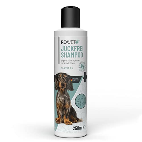 ReaVET Hundeshampoo gegen Schuppen & Juckreiz 250ml, bei Hautirritationen, trockene Sensible Haut, Rückfettend für Fellglanz ohne Duftstoffe, Anti Schuppen Juckreiz Shampoo Hund von ReaVET