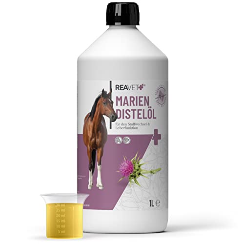 ReaVET Mariendistelöl für Hunde & Pferde 1 Liter – Naturrein in Lebensmittelqualität – Barf Zusatz, Distelöl Hund, Barf Öl Mariendistel-Öl Hund I Reich an Vitamin E, Omega-6, Omega-9 ReaVET Mariendistelöl für Hunde & Pferde 1 Liter – Naturrein in Lebensmittelqualität – Barf Zusatz, Distelöl Hund, Barf Öl Mariendistel-Öl Hund I Reich an Vitamin E, Omega-6, Omega-9 von ReaVET