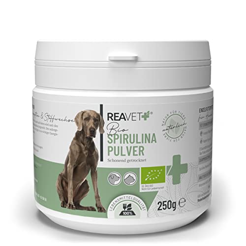 ReaVET Spirulina Pulver Bio für Hunde & Katzen 250g – Mikroalge unterstützt Haut & Fell, Immunsystem & Stoffwechselprozesse, Biologischer Anbau, Vitamine & Mineralstoffe von ReaVET