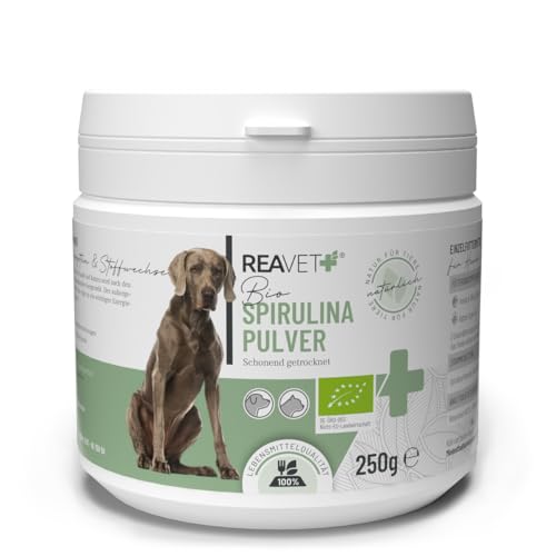 ReaVET Spirulina Pulver Bio für Hunde & Katzen 250g – Mikroalge unterstützt Haut & Fell, Immunsystem & Stoffwechselprozesse, Biologischer Anbau, Vitamine & Mineralstoffe von ReaVET