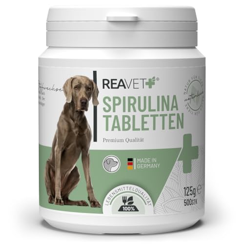 ReaVET Spirulina Tabletten für Hunde 500 Stück – Lebensmittelqualität, Mikroalge unterstützt Haut & Fell, Immunsystem & Stoffwechselprozesse, Biologischer Anbau, Vitamine & Mineralstoffe von ReaVET