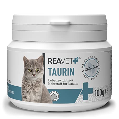 ReaVET Taurin für Katzen 100g – Unterstützung des Herz-Kreislauf-Systems, Taurin Pulver 100% rein, Aminosäuren unterstützen Abwehrkräfte & Zellstoffwechsel von ReaVET