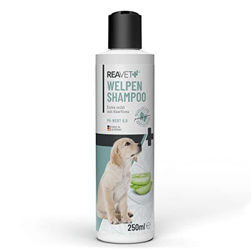 ReaVET Welpenshampoo Aloe Vera 250ml – extra mild für Hunde Welpen I Hundeshampoo, Shampoo für Hunde - glänzendes & leicht kämmbares Fell, Parfumfrei, Hundeshampoo Sensitiv von ReaVET