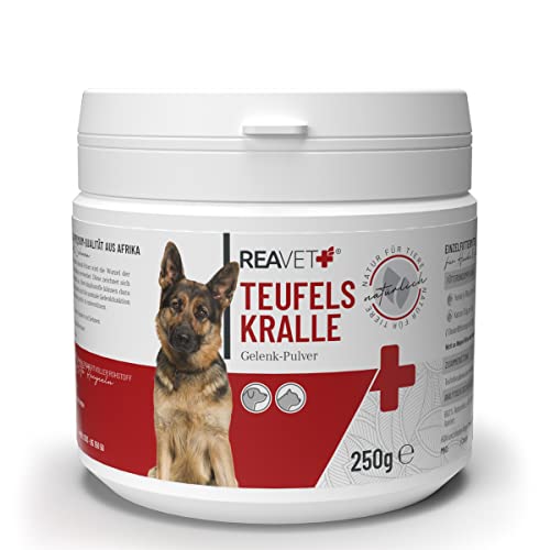 ReaVET Afrikanische Teufelskralle für Hunde & Katzen 250g – Naturrein in Premiumqualität – unterstützt Beweglichkeit + Gelenkfunktion I Teufelskrallen Pulver Gelenkpulver Ohne Zusätze von ReaVET