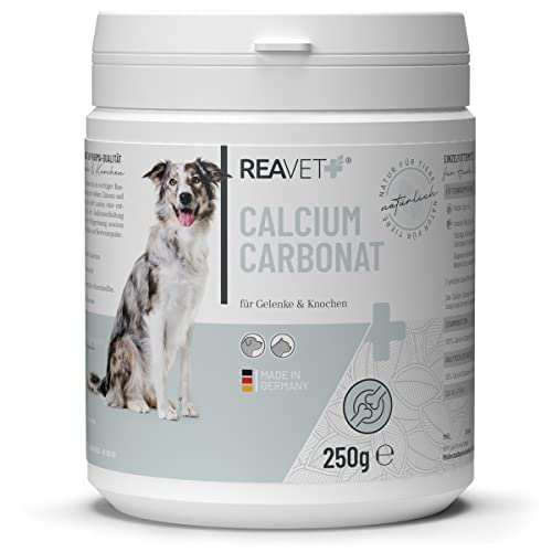 ReaVET Calcium Carbonat 250g für Hunde & Katzen – Barf Zusatz Pulver, Calcium Carbonat, Natürliche Rundumversorgung, Ausgewogener Barf- Zusatz Knochen, Muskulatur Gedächtnis & Herzfunktion von ReaVET