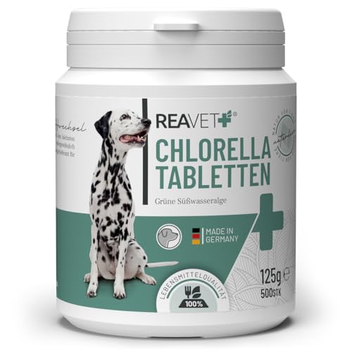 ReaVET Chlorella Tabletten für Hunde 500 Stück – Hochdosiert in Lebensmittelqualität, Mikroalge unterstützt Haut & Fell, Chlorella Algen Tabletten viel Protein von ReaVET
