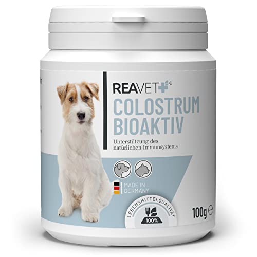 ReaVET Colostrum Pulver für Hund & Katze 100g - Immun Boost mit hohem Immunglobulin Gehalt, Immunsystem stärken, Magen & Darm, Natürliches Kolostrum von ReaVET