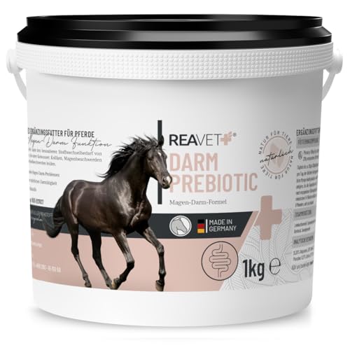 ReaVET Darm Prebiotic 1kg für Pferde, Magen Darm Pferd, Kotwasser Pferde, Darmprobleme Pferd, Getreidefreies Naturprodukt ohne Zusätze von ReaVET