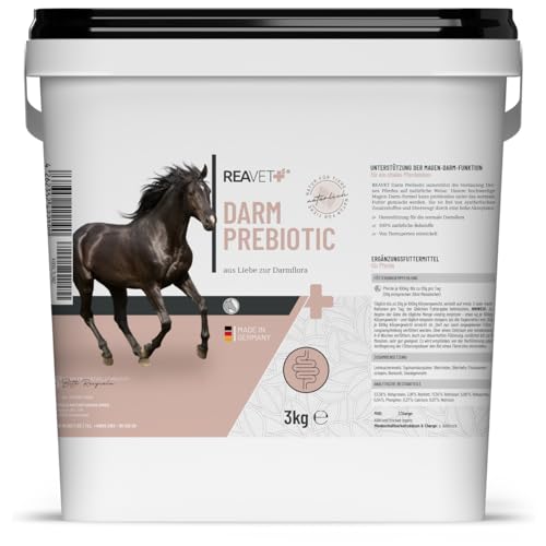 ReaVET Darm Prebiotic 3kg für Pferde zur Unterstützung der Darmflora & Verdauung - Magen Darm Pferd, Natürliche Darmkur, Getreidefreies Naturprodukt ohne Zusätze von ReaVET