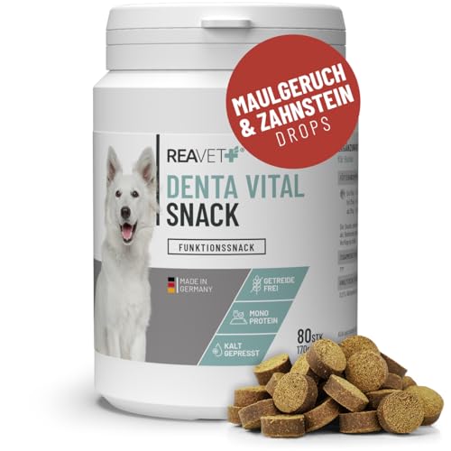 ReaVET Denta Vital Snack für Hunde, Funktionssnacks für bis 3 Monate, Leckerlis Hund für einen frischen Atem mit Minze & Anis I Gegen Mundgeruch, Getreidefrei, Monoprotein von ReaVET