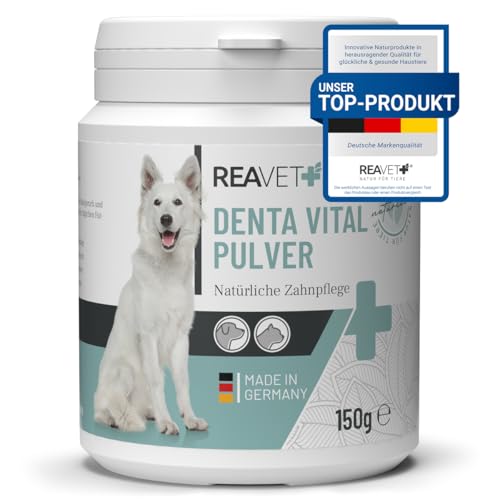 ReaVET Denta Vital Zahnpflege Pulver Hund & Katzen 150g - Zahnsteinentferner, Mittel gegen Zahnstein Hund Katze I Gegen Mundgeruch bei Hunden, Zahnpflege Katzen ReaVET Denta Vital Zahnpflege Pulver Hund & Katzen 150g - Zahnsteinentferner, Mittel gegen Zahnstein Hund Katze I Gegen Mundgeruch bei Hunden, Zahnpflege Katzen von ReaVET