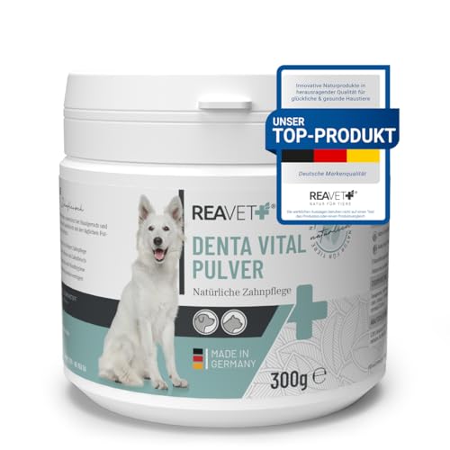 ReaVET Denta Vital Zahnpflege Pulver Hund & Katzen 300g - Zahnsteinentferner, Mittel gegen Zahnstein Hund Katze I Gegen Mundgeruch bei Hunden, Zahnpflege Katzen ReaVET Denta Vital Zahnpflege Pulver Hund & Katzen 300g - Zahnsteinentferner, Mittel gegen Zahnstein Hund Katze I Gegen Mundgeruch bei Hunden, Zahnpflege Katzen von ReaVET
