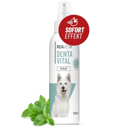 ReaVET Dentalspray für Hunde - Entfernt Zahnbelag, Neutralisiert Mundgeruch, beugt Zahnstein vor I Zahnpﬂege Spray Hund, Zahnreinigung ohne Bürste für einen frischen Atem 120ml von ReaVET