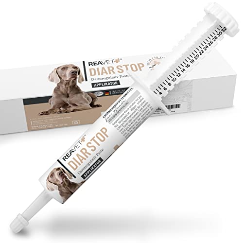ReaVET Diar Stop Darmregulativ Paste für Hunde Durchfallstop 30ml – Hunde Durchfallmittel bei Darmbeschwerden, Verdauungsstörungen - Elektrolyte von ReaVET