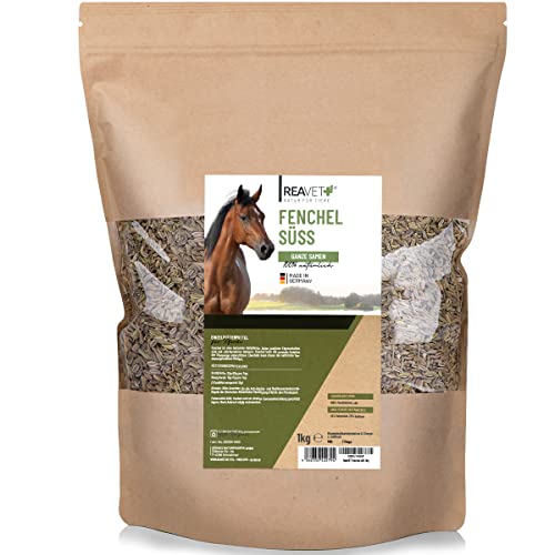 ReaVET Fenchel Samen süß für Pferde 1kg - Ganze Fenchelsamen naturrein in Premiumqualität, Artgerechtes Einzelfuttermittel für Pferde, frei von Zusatzstoffen von ReaVET