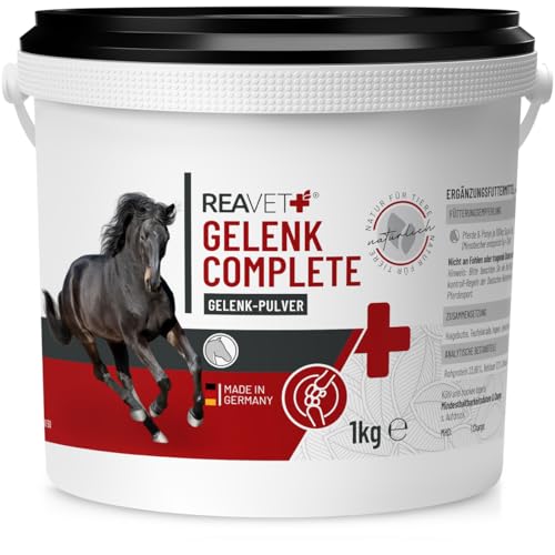 ReaVET Gelenk Complete 1kg, Gelenkpulver Pferd – Natürlicher Gelenke-Komplex für Mobilität, Bewegungsfreude & Vitalität mit Teufelskralle und Ingwer, Unterstützung der Gelenke & Gelenkfunktion von ReaVET