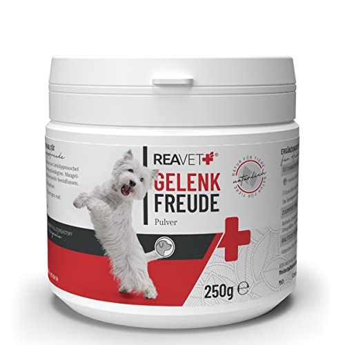 ReaVET Gelenkfreude Gelenkpulver für Hunde - Alternative zu Gelenktabletten, mit Grünlippmuschel Hund & Teufelskralle, Beugt Arthrose Hund vor, Unterstützt Knochen & Gelenke 250g von ReaVET