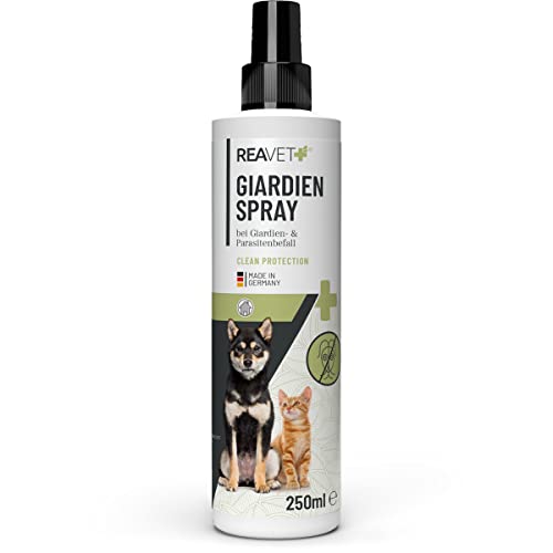 ReaVET Giardien Spray 250ml - Speziell für Hund & Katze, Konzentriertes Desinfektionsmittel Desinfektion Spray für Oberflächen und Umgebung bei gegen Giardien, Hygiene Spray ReaVET Giardien Spray 250ml - Speziell für Hund & Katze, Konzentriertes Desinfektionsmittel Desinfektion Spray für Oberflächen und Umgebung bei gegen Giardien, Hygiene Spray von ReaVET