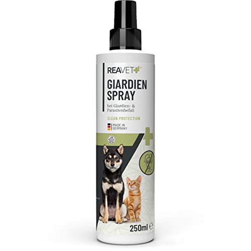 ReaVET Giardien Spray 250ml – Speziell für Hund & Katze, Konzentriertes Desinfektionsmittel Desinfektion Spray für Oberflächen und Umgebung bei gegen Giardien, Hygiene Spray von ReaVET