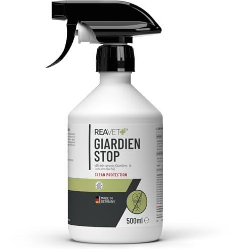 ReaVET Giardien-Spray speziell für Hund & Katze 500ml – Hygiene-Spray für Haustiere I Umgebungsspray zur Desinfektion von Oberflächen gegen Giardien, Viren, Bakterien & Pilze von ReaVET