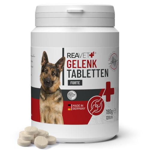 ReaVET Gelenktabletten Hund I 120 Stück für 8 Monate I Gelenke Tabletten für Hunde mit Grünlippmuschel I Für Neue Bewegungsfreude I Gelenktabletten Hund ReaVET Gelenktabletten Hund I 120 Stück für 8 Monate I Gelenke Tabletten für Hunde mit Grünlippmuschel I Für Neue Bewegungsfreude I Gelenktabletten Hund von ReaVET