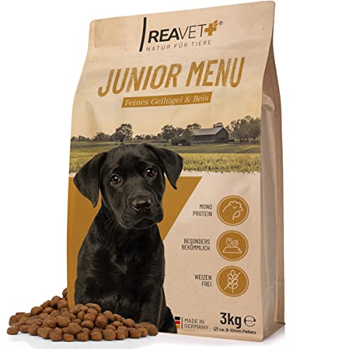 ReaVET Hundefutter Trocken - Junior Menü mit Geflügel 3kg, Weizenfrei, Hundetrockenfutter Junior bis zum 18 Monat, Gesundes Trockenfutter Junior Hund, Hoher Fleischanteil, Für alle Hunderassen von ReaVET