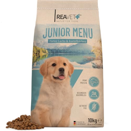 ReaVET Hundefutter Trocken - Junior Menü mit Lachs 10kg, Getreidefrei, Hundetrockenfutter Junior bis zum 18 Monat, Gesundes Trockenfutter Junior Hund, Hoher Fleischanteil, Für alle Hunderassen von ReaVET