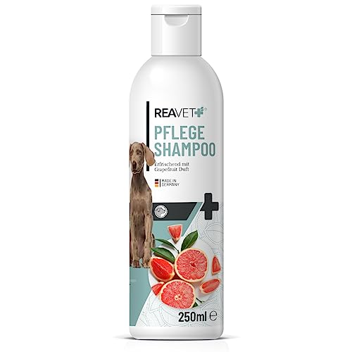 ReaVET Hundeshampoo mit Grapefruit 250ml – Pflegeshampoo für Hunde, Vitale Haut, Fellglanz, Kämmbarkeit, natürliche Inhaltsstoffe von ReaVET