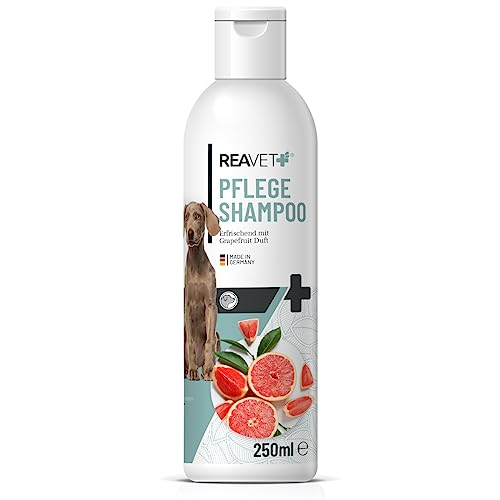 ReaVET Hundeshampoo mit Grapefruit 250ml - Pflegeshampoo Kokos für Hunde, Vitale Haut, Fellglanz, Kämmbarkeit, Shampoo Hund, natürliche Inhaltsstoffe ReaVET Hundeshampoo mit Grapefruit 250ml - Pflegeshampoo Kokos für Hunde, Vitale Haut, Fellglanz, Kämmbarkeit, Shampoo Hund, natürliche Inhaltsstoffe von ReaVET