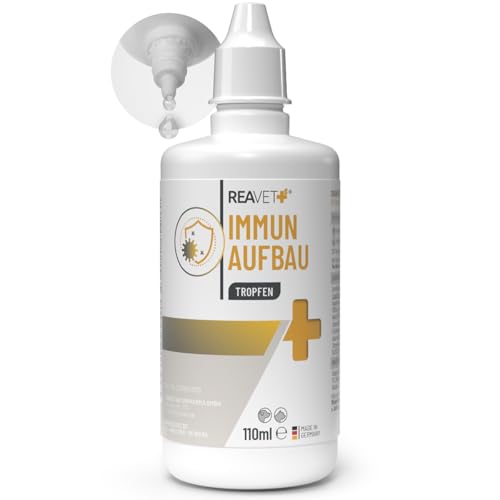 ReaVET Immun Aufbau-Tropfen für Hunde & Katzen 110ml - Stärkung des Immunsystem, Abwehrkraft I Vitamine Multivitamin Liquid - Wertvolle, rein natürliche Vitamine & Mineralien ReaVET Immun Aufbau-Tropfen für Hunde & Katzen 110ml - Stärkung des Immunsystem, Abwehrkraft I Vitamine Multivitamin Liquid - Wertvolle, rein natürliche Vitamine & Mineralien von ReaVET