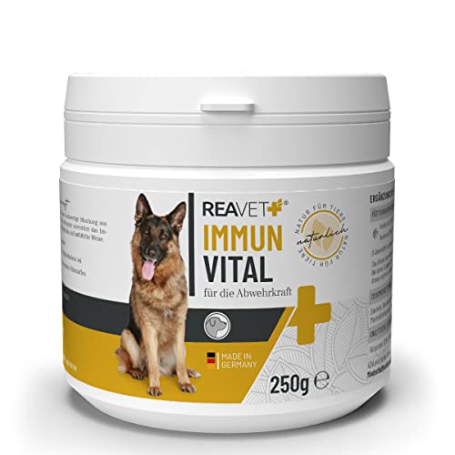 ReaVET Immun Vital für Hunde - Immunsystem & Abwehrkräfte stärken I Vitamine für Hunde, Aufbau Immunsystem, Nährstoffreich & mit Vitamin C, Mineralien, Multivitamin-Pulver 250g von ReaVET