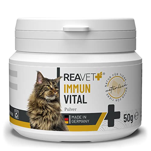 ReaVET Immun Vital für Katzen 50g - für mehr Wohlbefinden & Vitalität I Natürliche Abwehrkraft, Stärkung des Immunsystem, Ohne künstliche Zusätze, Reich an Mineralien von ReaVET